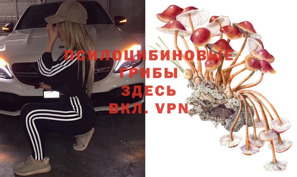 PSILOCYBIN Алзамай
