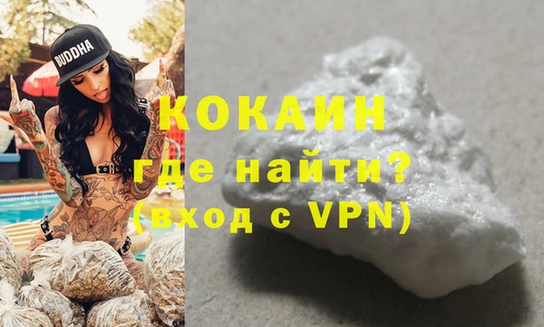 гашик Сосновка