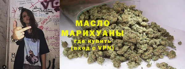 гашик Сосновка
