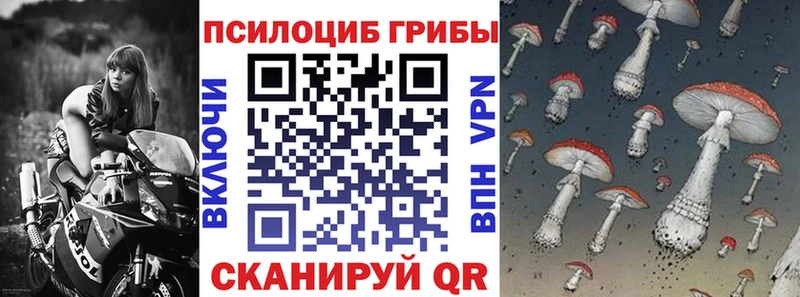 MEGA зеркало купить наркоту Буй Галлюциногенные грибы Psilocybe